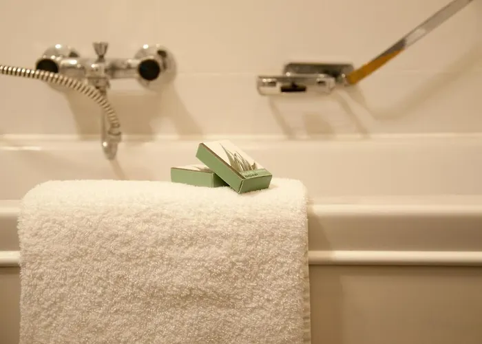 De Oude Molen Hotel 3*