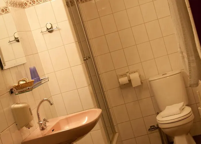 Hotel De Oude Molen 3*