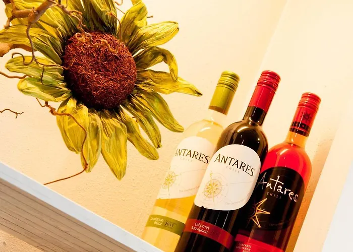 De Oude Molen Groesbeek