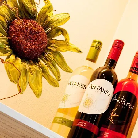 De Oude Molen Groesbeek